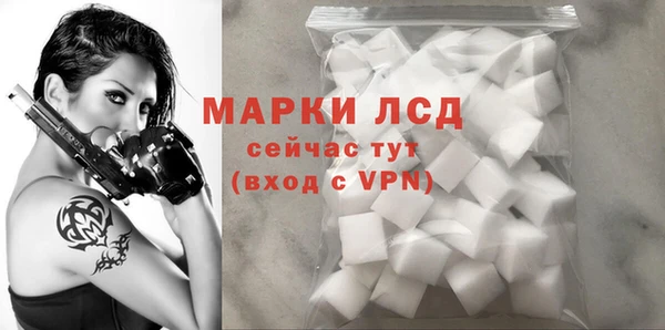 спиды Беломорск