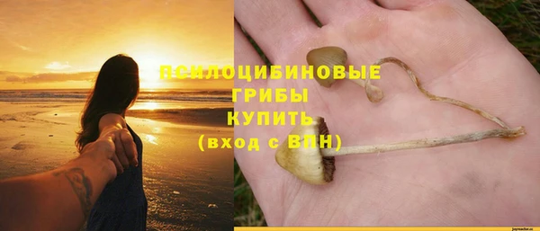 спиды Беломорск