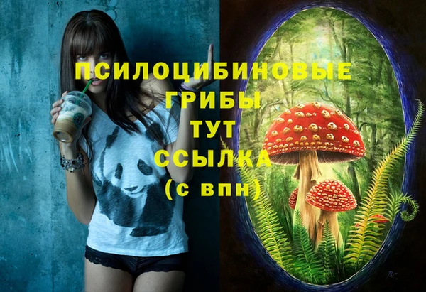 спиды Беломорск